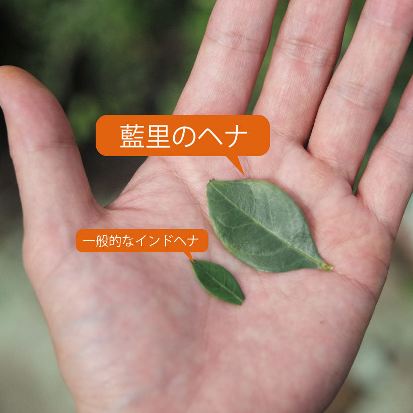 フルオーガニックスパカラー ヘナ 100g(沖縄県産/オーガニックヘナ)