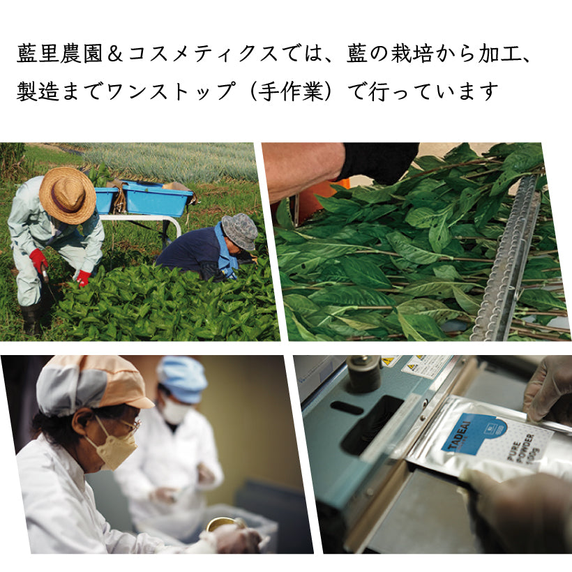 フルオーガニックスパカラー タデアイ(高知県産蓼藍)30g