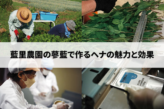 藍里農園の蓼藍で作るヘナの魅力と効果