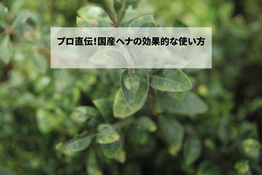 プロ直伝！国産ヘナの効果的な使い方