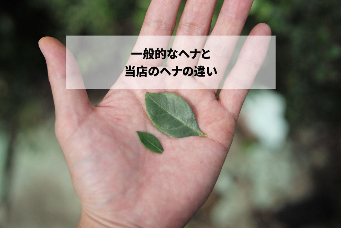 一般的なヘナと、当店のヘナの違い