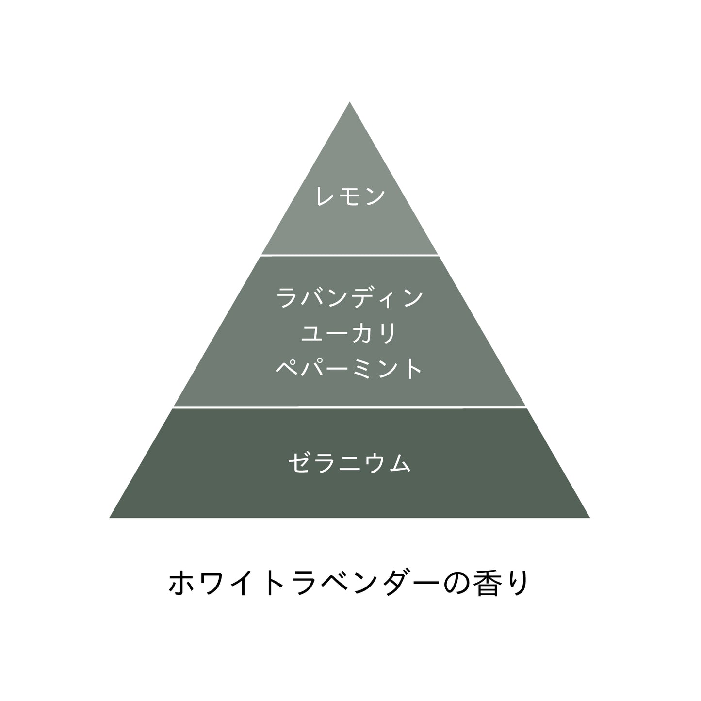 蓼藍カラー後のシャンプー｜3日目からのやさしい洗髪に